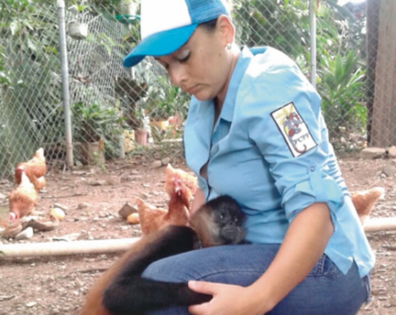 Los primates y su camino para el regreso a casa