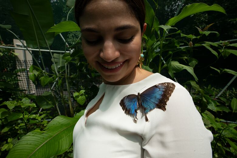 Smithsonian en Panamá inaugura el LepiDomo