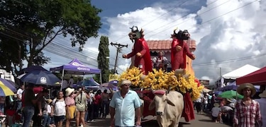 ¿Cuánto cuesta mantener viva la tradición? El reto económico del Festival de la Mejorana