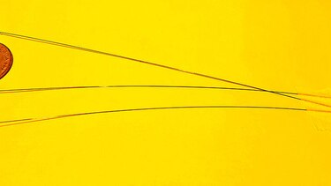 ‘Nanotags’ para la conservación