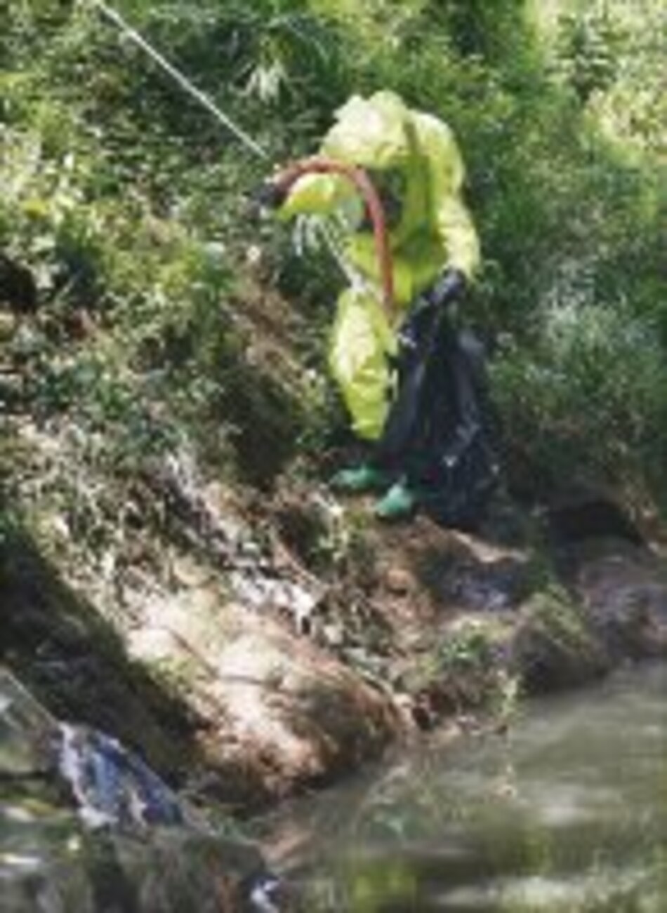 Insecticida tóxico fue arrojado al río Curundú