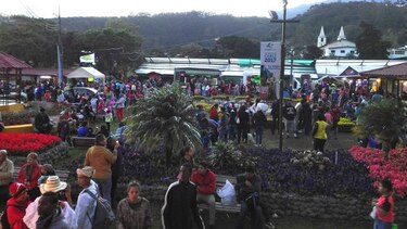 Cerca de 157 mil personas visitaron la Feria de las Flores y del Café en Boquete