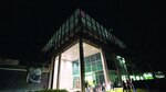 La noche es de los murciélagos