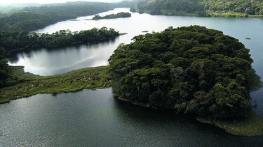 Nivel del Gatún llega a 26 metros