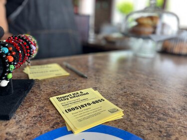 ‘¿Es usted de la Migra?’: el temor de los migrantes que se esconden de las redadas en Oxnard, la ‘capital mundial de la fresa’ en California