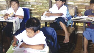 Discapacidad y lento aprendizaje escolar