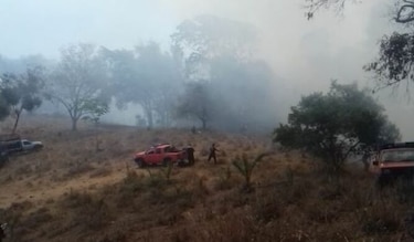 Bomberos reportan incendio forestal en la meseta de Chorcha en Chiriquí