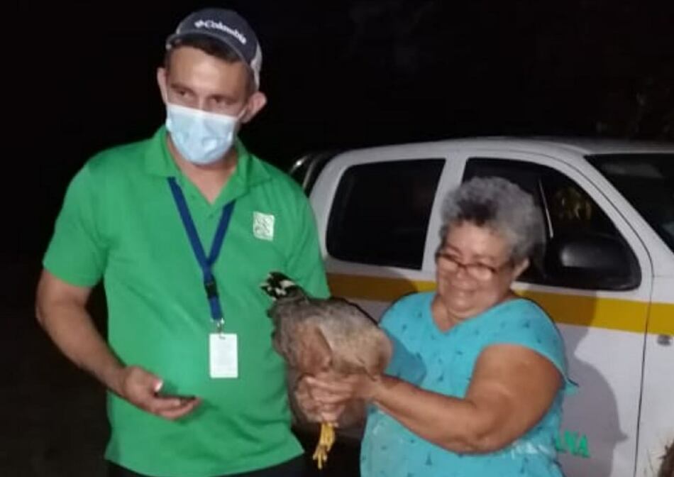 Rescatan a más de 100 animales en peligro de extinción en Los Santos