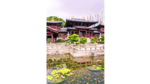 Oasis de armonía