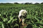 AGRONOTICIAS.