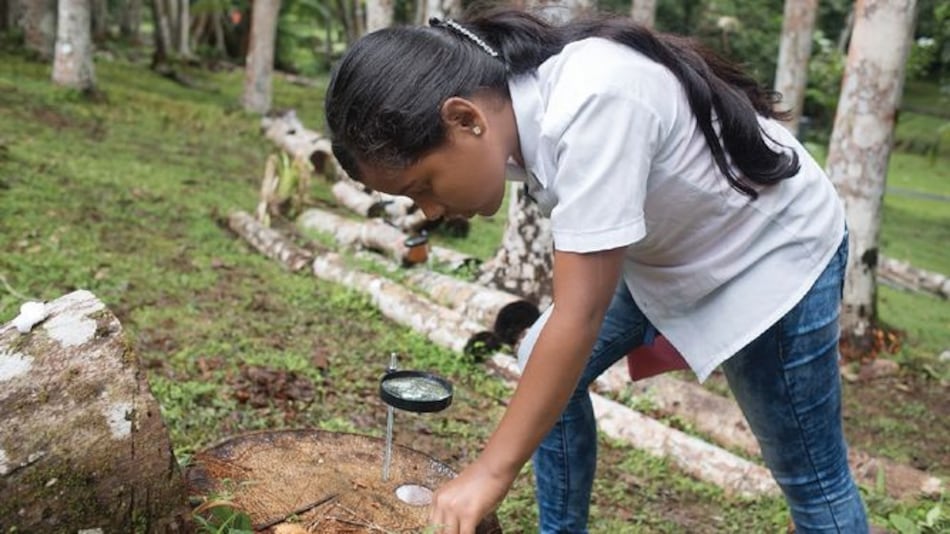 Abren convocatoria para explorar la ciencia y el arte