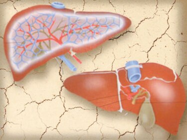 Médicos del Mundo presenta recurso para rebajar precio de tratamiento contra hepatitis C