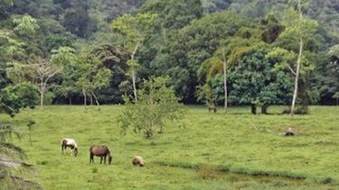 Martinelli respalda a sus ministros