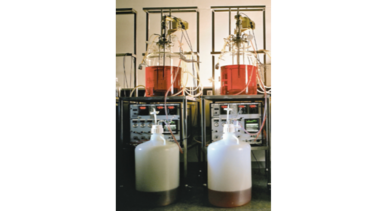 Argentina pide a EU acelerar revisión de aranceles