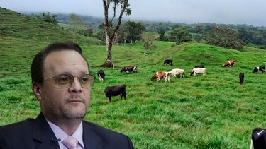 Panamá responde a Costa Rica: ‘la apelación representa una medida de defensa a la producción nacional’