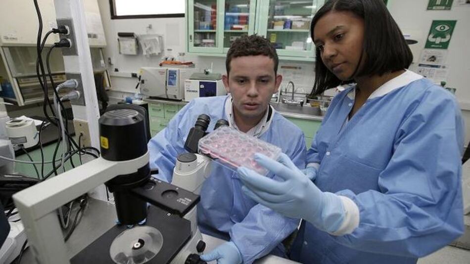 Virus de chikungunya que llegó a Panamá es de genotipo asiático