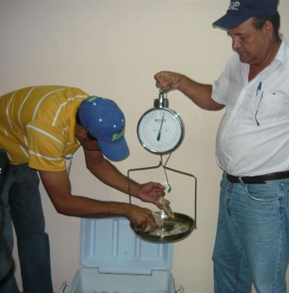 Arap decomisa 101 bolsas de camarones en la playa Venao