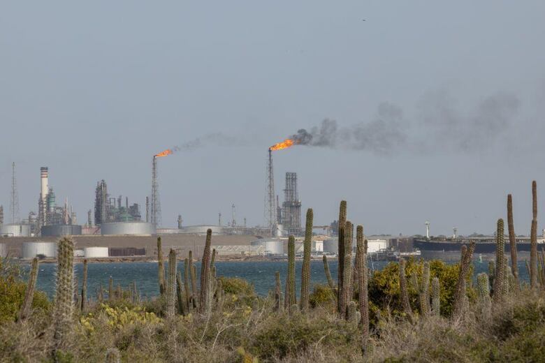 Qué consecuencias ha tenido en Venezuela el disputado resultado de las elecciones presidenciales de hace un año