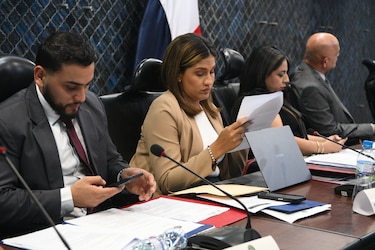 Diputados de Vamos alertan sobre efectos de la ley de etanol en los alimentos, ambiente y mercado local