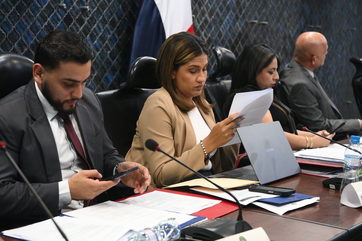 Diputados de Vamos alertan sobre efectos de la ley de etanol en los alimentos, ambiente y mercado local