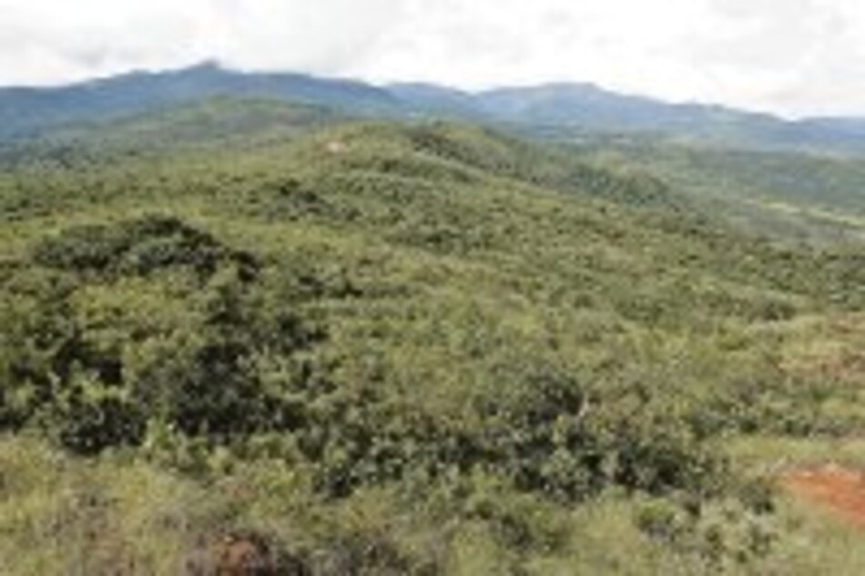 Boquete: finca, negocios y millones