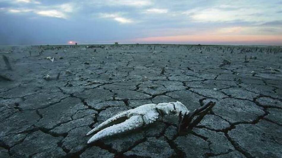 Cambio climático generará 143 millones de migrantes antes de 2050