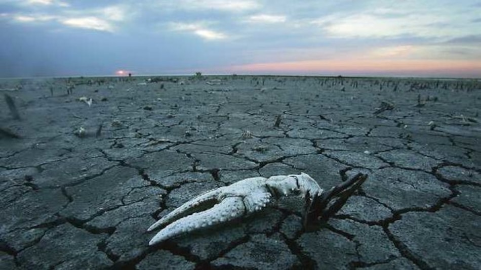 Cambio climático generará 143 millones de migrantes antes de 2050