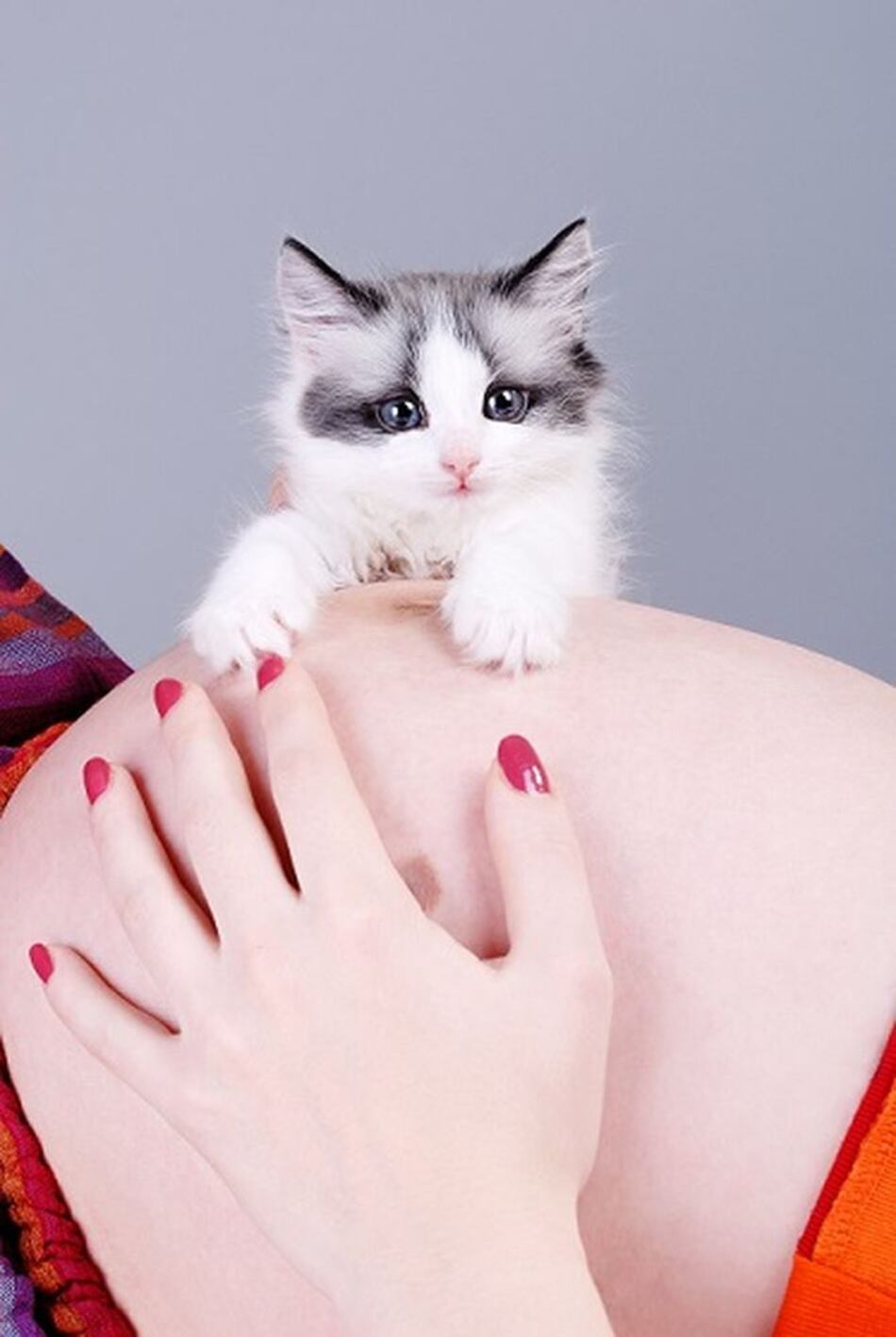 Toxoplasmosis, un riesgo latente para los bebés
