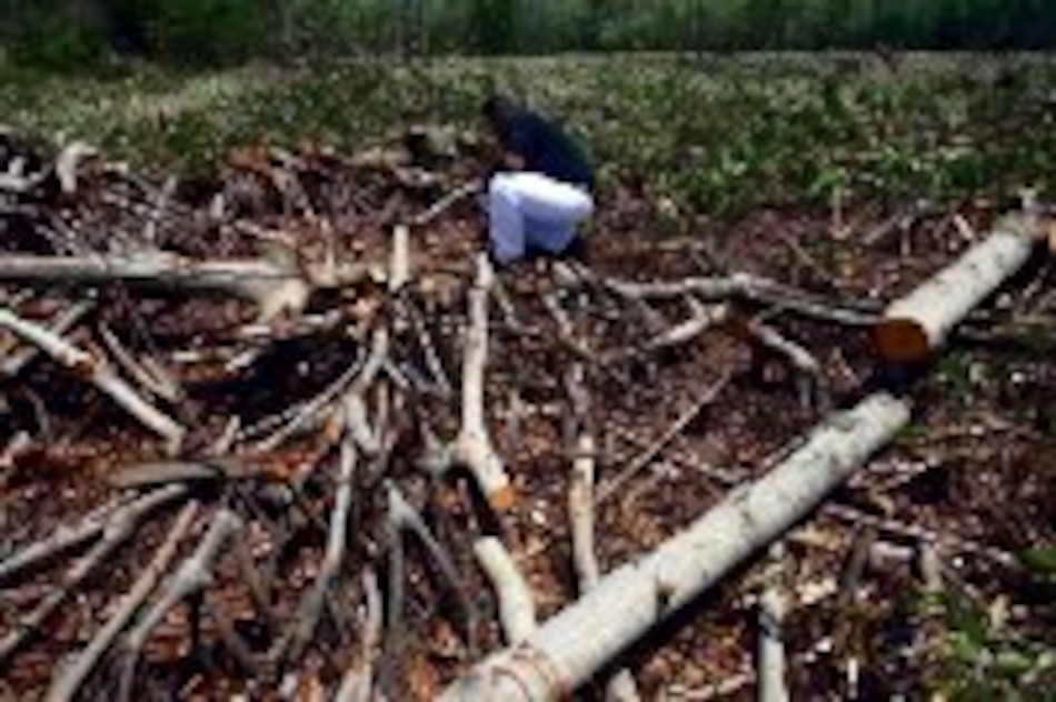 El informe con el que sí se pudo