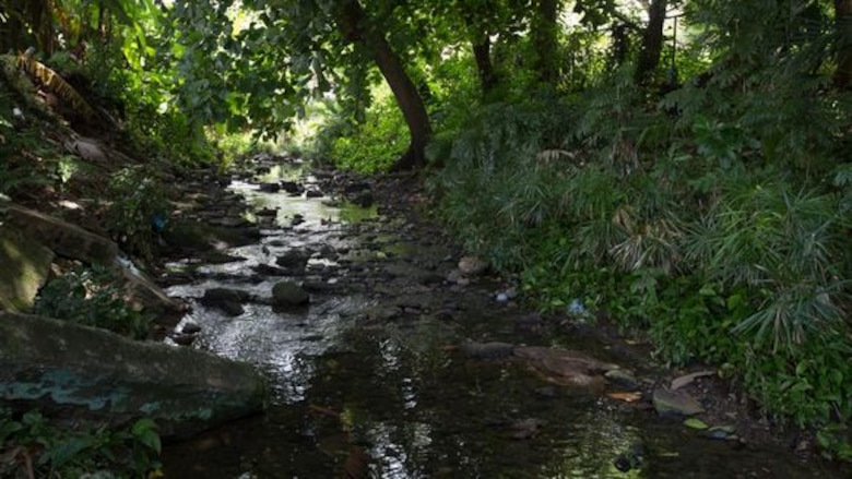 Matasnillo: Río que brilla, río que muere