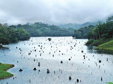 Diabluras de El Niño en Panamá