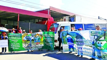 Apoyan moratoria con ley de hidroeléctricas