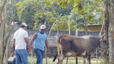 El mal estado de vías afecta la producción