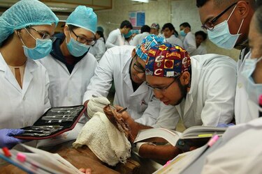 Ifarhu reduce nota mínima para poder postularse a becas de medicina; basta con un 3.6
