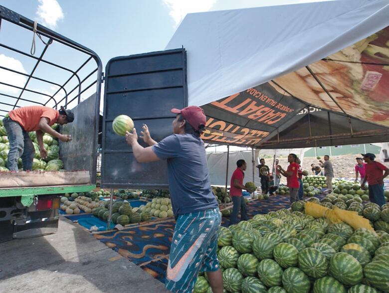 Covid-19 impacta a la población indígena mundial