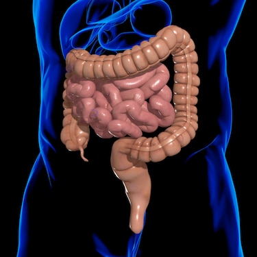 Estudio analiza relación entre la dieta y el microbioma con el cáncer colorrectal