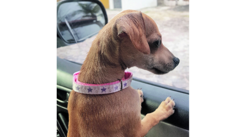 ¡Feliz cumpleaños, Maya!