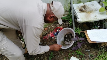 Panamá registra hasta la fecha 6 mil casos de dengue