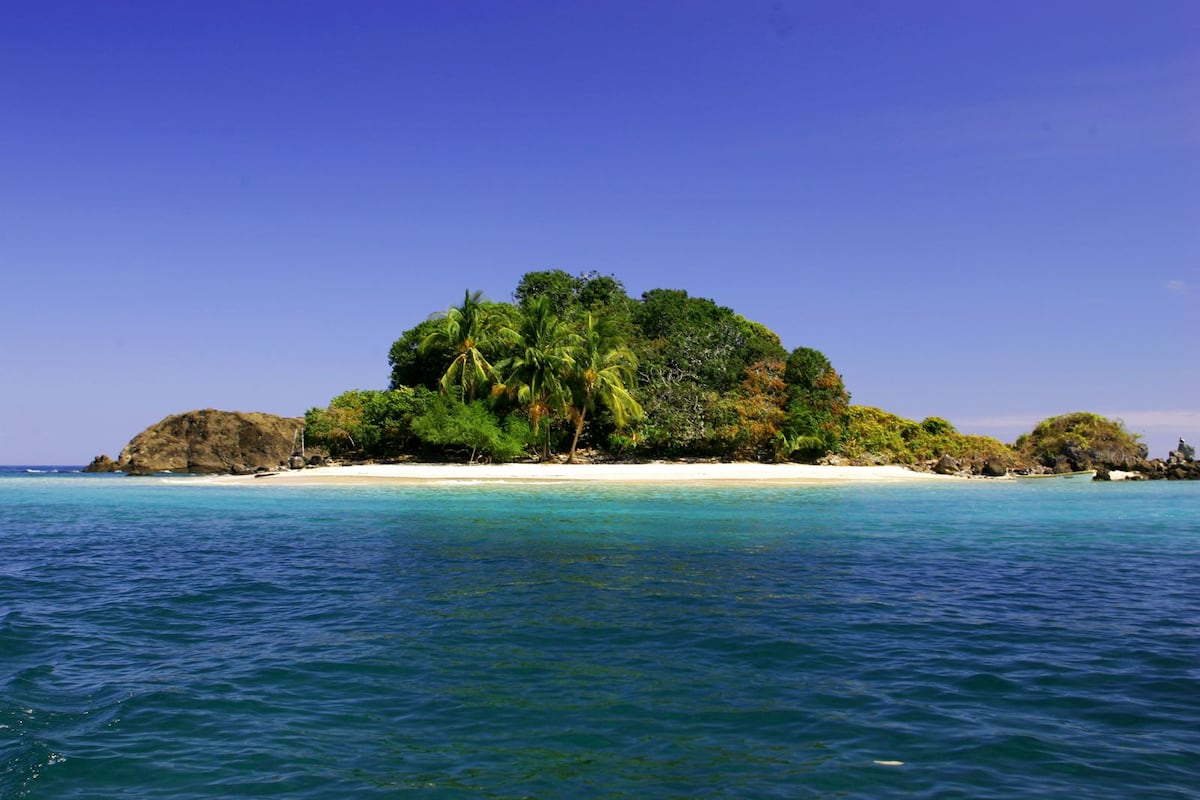 Coiba, al nivel de Galápagos: la riqueza natural que científicos buscan proteger