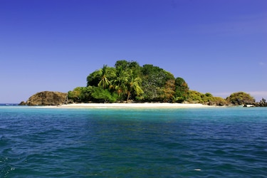 Coiba, al nivel de Galápagos: la riqueza natural que científicos buscan proteger