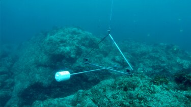 Primera expedición científica a la inexplorada cordillera de Coiba