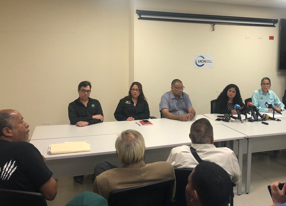 Comité Panameño de la UICN solicita al Gobierno formar parte del cierre de la mina