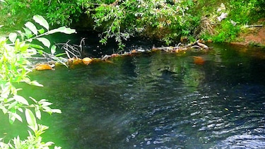 Agua del río Caimito no está contaminada