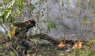 Incendios arrasan casi un millón de hectáreas en las serranías bolivianas