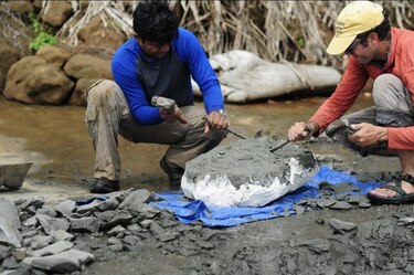 Profesor panameño descubre en Colón un fósil de pez de 6 millones de años