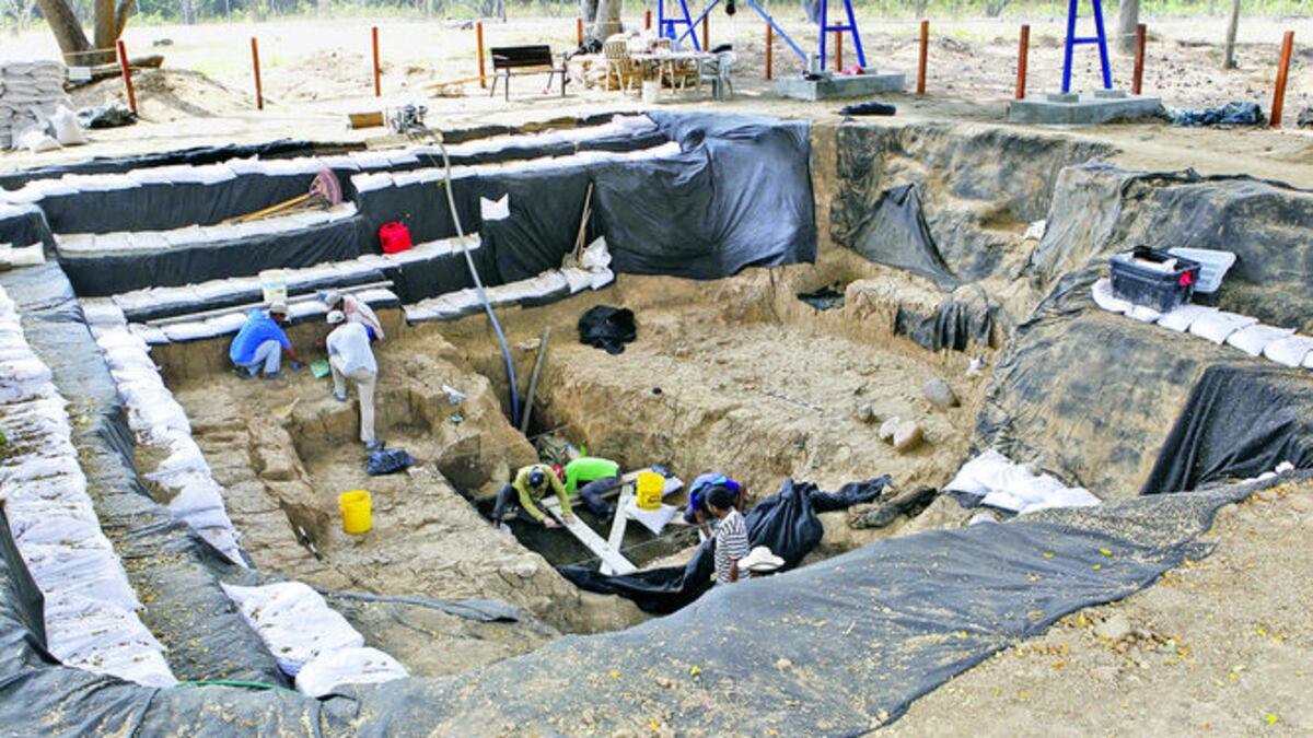 Las exploraciones en El Caño se realizan durante la temporada seca. Las piezas halladas son recuperadas y analizadas por especialistas, con el fin de conocer el historial de los coclé.