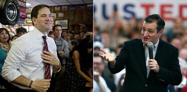 Primarias: Rubio y Cruz suman más delegados