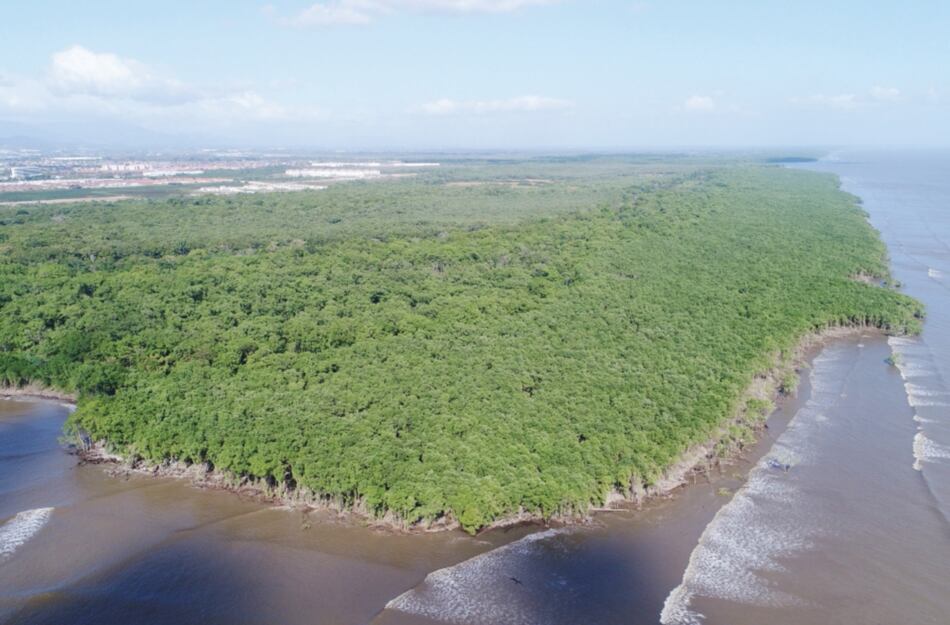 Instalarán puesto de control para vigilar humedal bahía de Panamá