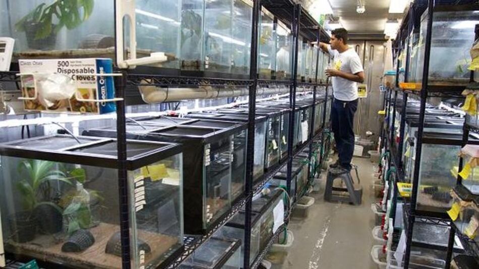 Abren un nuevo refugio para anfibios en Gamboa