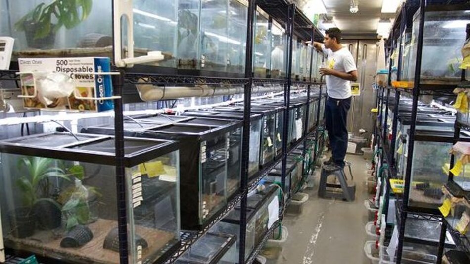 Abren un nuevo refugio para anfibios en Gamboa